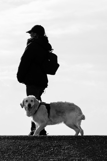 silhouetted woman dog walking white labrador 